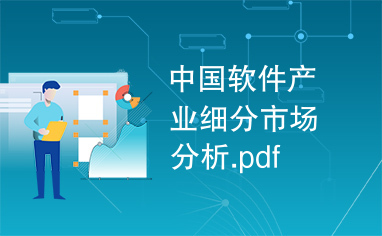 中国软件产业细分市场分析.pdf