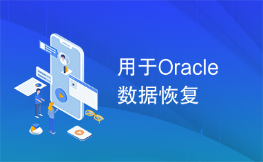 用于Oracle数据恢复