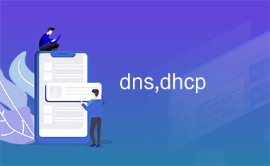 dns,dhcp